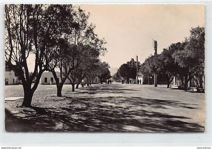 Algérie - COLOMB BÉCHAR - Avenue Poincaré - Ed. Jean-Paul Argence