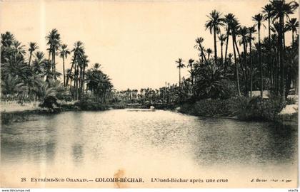 CPA AK Algérie-COLOMB-BÉCHAR-L'Oued Béchar apres une crue (238660)