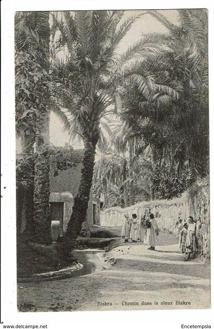 CPA -Carte Postale-Algérie-Biskra- Chemin dans le vieux Biskra   -VM17607