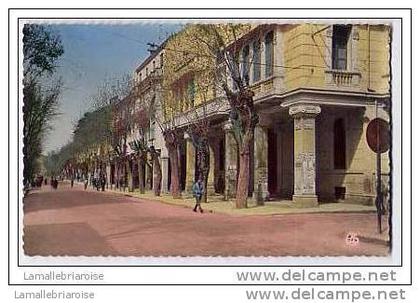 SETIF - L'AVENUE CLEMENCEAU