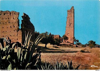 Algérie - Tlemcen - La Tour de Mansourah - CPM - Voir Scans Recto-Verso