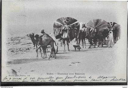 Algérie - Biskra - Chameaux avec Bassours