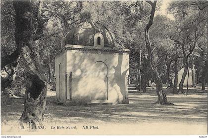 Blida - Le Bois Sacré