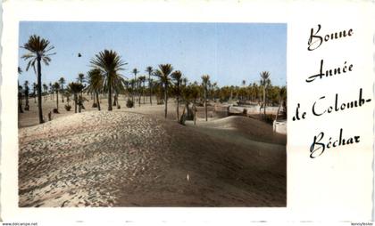 Colomb-Bechar - Les Dunes