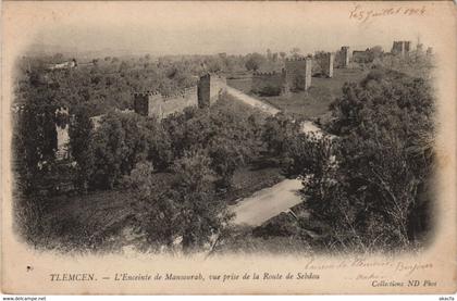 CPA AK TLEMCEN L'Enceinte de Mansourah ALGERIE (1145354)