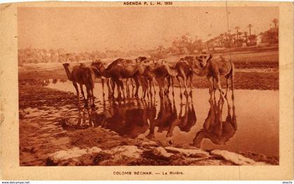 CPA AK COLOMB-BÉCHAR Bechar La riviere ALGERIE (856490)