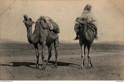 Algérie - Chamelier