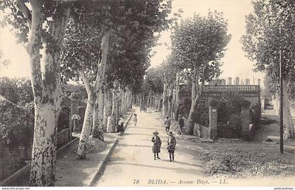 BLIDA - Avenue Bizot