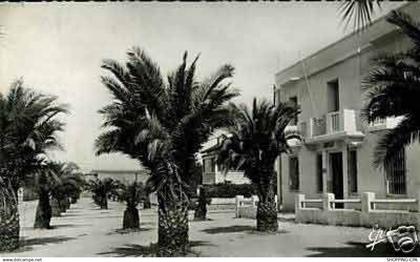 Algerie - Guelma - Rue Zama - CPSM 1957