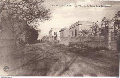 CPA Algérie Mostaganem Les Villas sur la Route de la Salamandre