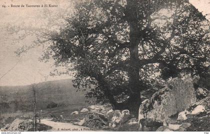 Route de Yacouren à El Kseur