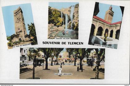 Algérie - Souvenir de Tlemcen