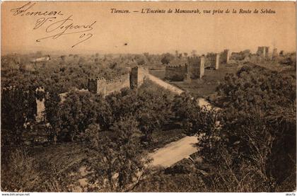 CPA ALGERIA TLEMCEN L'Enceinte de Mansourah (1358077)