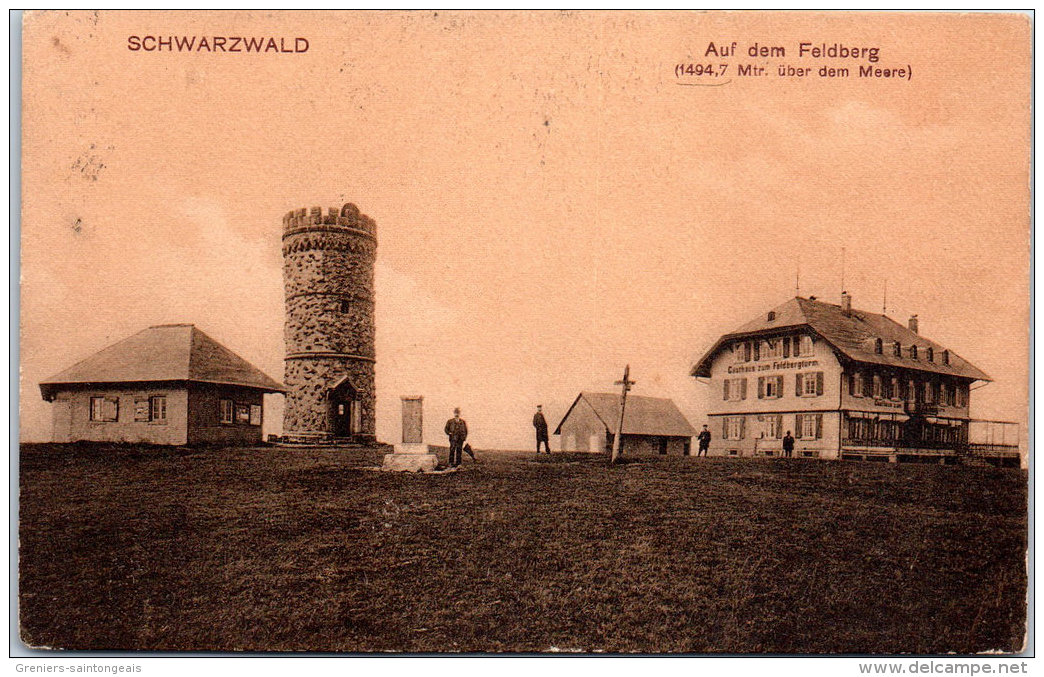 Allemagne - BADE WURTEMBERG - schwarzwald auf dem feldberg