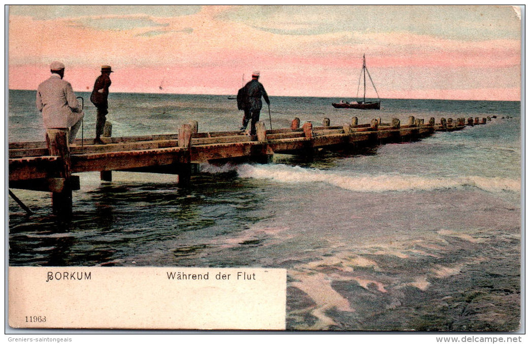 Allemagne - BASSE SAXE - BORKUM - wahrend der flut