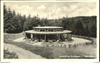 70091205 Bad Brambach Bad Brambach Cafe x 1958