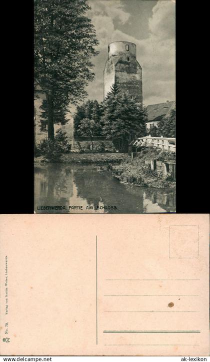 Ansichtskarte Bad Liebenwerda Schloss, Holzbrücke - Lubwartturm 1913