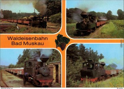 Bad Muskau Mužakow Schmalspurbahn Bad Muskau - Waldeisenbahn 1985