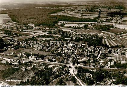 Bad Rappenau Fliegeraufnahme