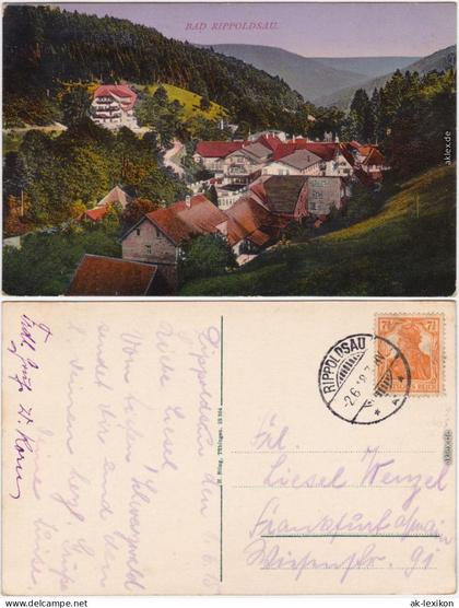 Ansichtskarte Bad Rippoldsau-Bad Rippoldsau-Schapbach Dorfpartie 1918