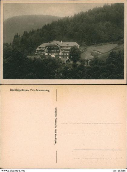 Ansichtskarte Bad Rippoldsau-Bad Rippoldsau-Schapbach Villa Sonnenberg 1924