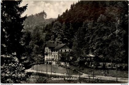 Bad Schandau, Kirnitzschtal