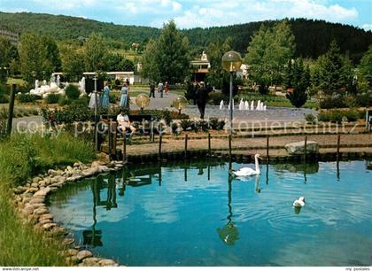 73163026 Salmuenster Bad Soden Wassergarten Schwaene Salmuenster Bad Soden