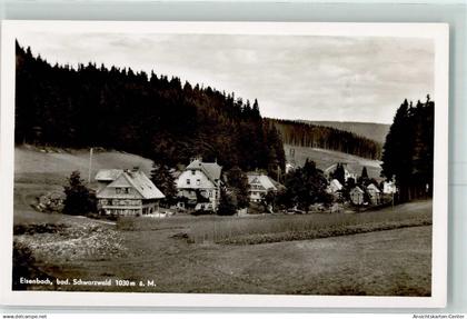 10347694 - Eisenbach Hochschwarzwald