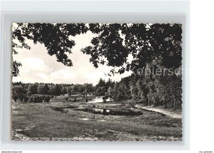 Wilsede Lueneburger Heide Schlangengrund Lueneburger Heide