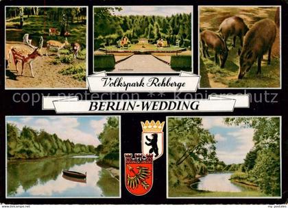 73833457 Wedding Volkspark Rehberge Damhirsche Wildschweine Parkpartien Wedding