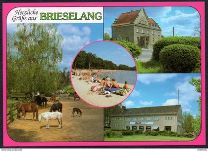 D0902 - TOP Brieselang - Bild und Heimat Reichenbach - Qualitätskarte