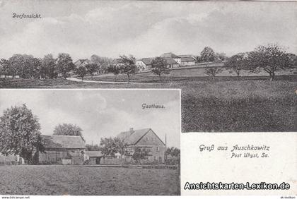 Auschkowitz-Burkau (Oberlausitz) Wučkecy Porchow: Gasthaus und Panorama 1914