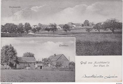 Auschkowitz-Burkau (Oberlausitz) Wučkecy Porchow Gasthaus und Panorama 1914