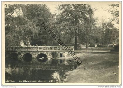 Berlin-Charlottenburg - Im Zoologischen Garten - Foto-AK Grossformat - Photo-Verlag R. Lissner Berlin - rückseitig Sonde