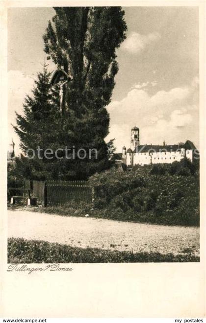 43185381 Dillingen Donau Blick zum Schloss Dillingen Donau