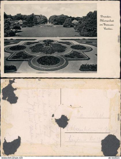 Dresden Großer Garten: Blumenbeet 1934