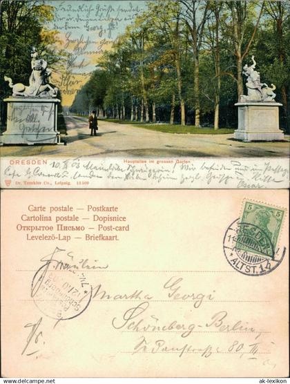 Seevorstadt-Ost/Großer Garten-Dresden Hauptallee im Großen Garten 1903