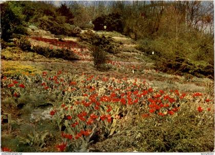 Erfurt, Aus deutschen Parks und Gärten der DDR IGA