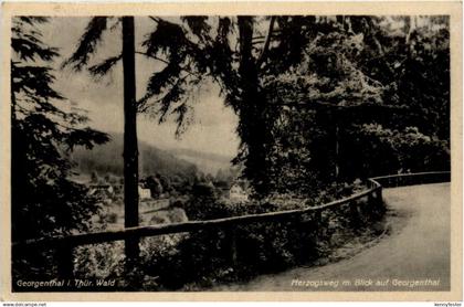 Bad Georgenthal, Herzogsweg m. Blick auf Georgenthal