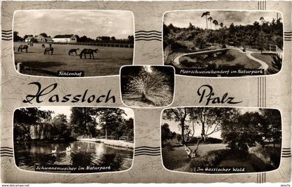 CPA AK Gruss aus Hassloch GERMANY (898757)