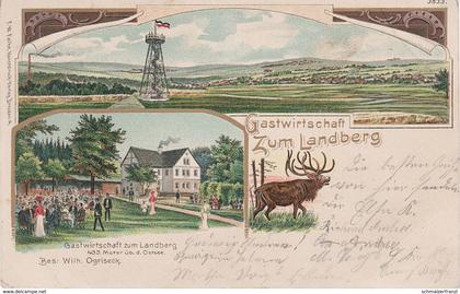 Litho AK Gasthof Turm Landberg Tharandter Wald Herzogswalde Mohorn Wilsdruff Tharandt Pohrsdorf Grumbach Grund Bahnpost