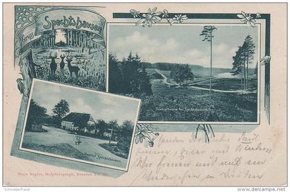 Litho AK Gruss Spechtshausen Gasthof Triebischwiege bei Hartha Tharandt Pohrsdorf Fördergersdorf Grumbach Herzogswalde