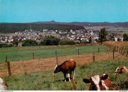 Hintermeilingen Waldbrunn Panorama