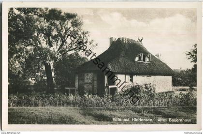 Vitte auf Hiddensee - Bauernhaus - Foto-Ansichtskarte