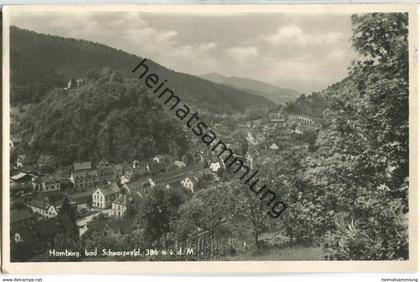 Hornberg - Gesamtansicht - Fotoansichtskarte