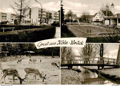 73911600 Brueck Koeln Siedlung Freibad Tierpark Bruecke