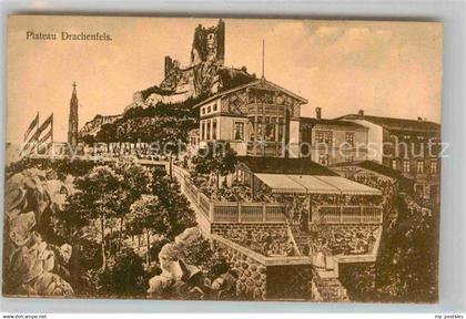 42763880 Drachenfels Plateau und Ruine Drachenfels