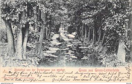 Gruss aus Gross-Lichterfelde - Bäckethal von d.Parkstrasse gesehen gel.1900 AKS