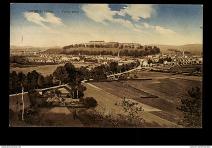 Bitsch, Lothringen, Panorama