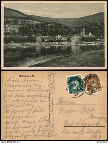 Ansichtskarte Miltenberg (Main) Panorama-Ansicht Partie am Main 1929